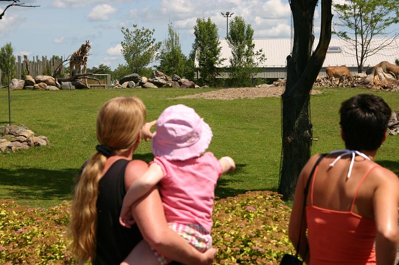Picture 8113.jpg